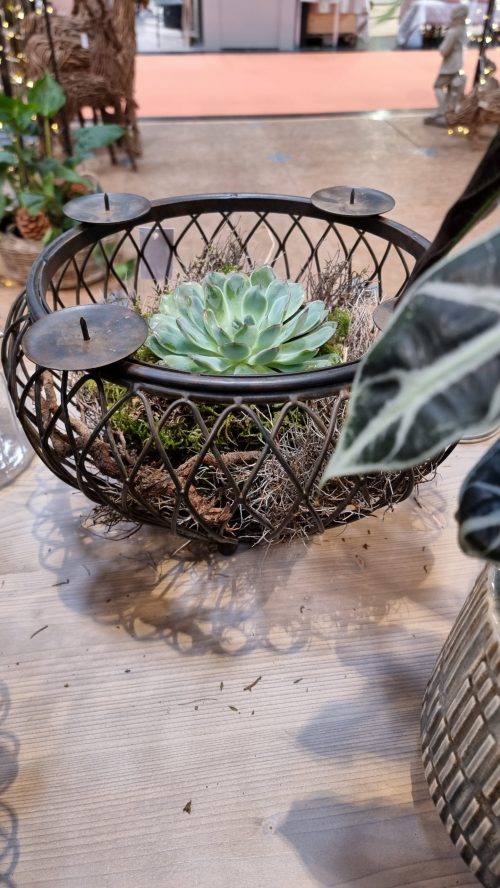 Schale Dekoschale mit Kerzenring Adventsdeko Adventskranz Kerzendeko Tischdeko Dekoschale im Mrs Greenery Shop kaufen bestellen