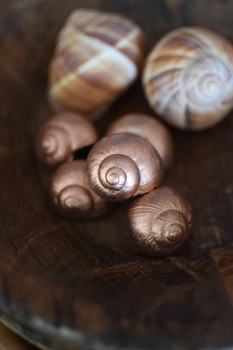 Dekoschnecke Schnecke Schneckenhaus kupfer Naturdeko im Mrs Greenery Shop bestellen kaufen