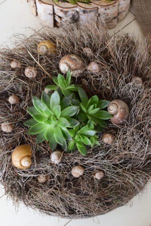 Schnecken Set Naturdeko Deko mit Natur Schneckenhaus Schneckenhäuser gestalten kreativsein basteln