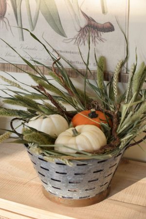 Deko mit Trockenblumen: Borstenhirse getrocknet. Setaria. Kranzbinden Deko mit Naturmaterialien Kürbis Baby Boo Dekoidee Herbst Herbstdeko Weizen