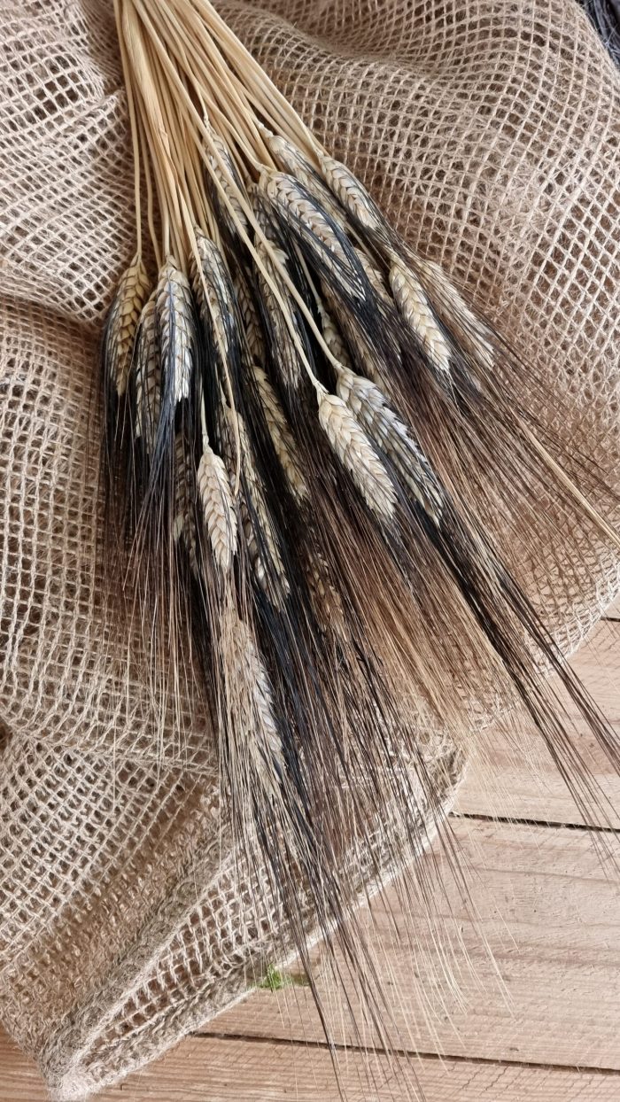 Weizen Gerste schwarz braun gefärbt Trockenblumen getrocknet Naturdeko Sommerdeko im Mrs Greenery Shop bestellen kaufen