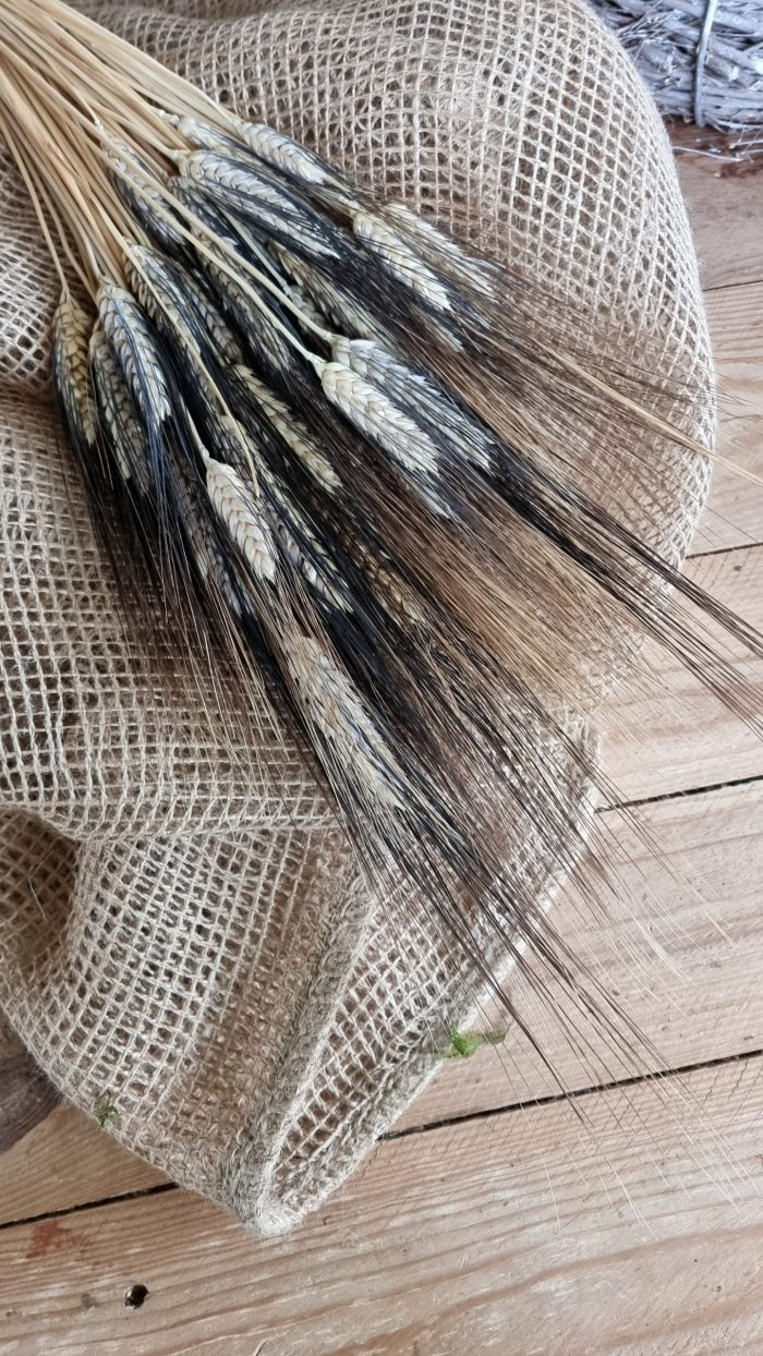 Weizen Gerste schwarz braun gefärbt Trockenblumen getrocknet Naturdeko Sommerdeko im Mrs Greenery Shop bestellen kaufen