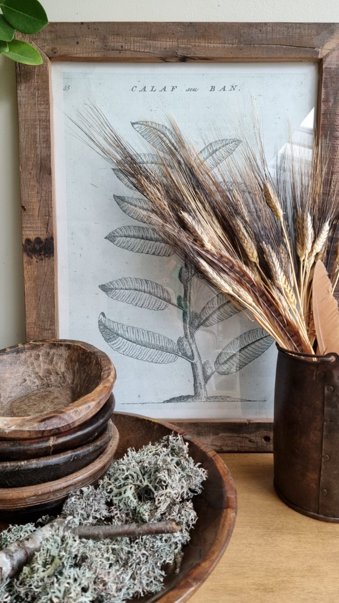 Weizen Gerste schwarz braun gefärbt Trockenblumen getrocknet Naturdeko Sommerdeko im Mrs Greenery Shop bestellen kaufen