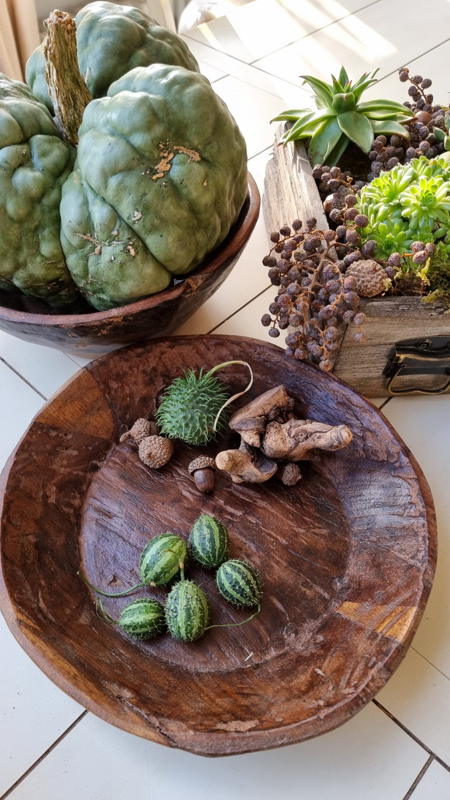 Ziergurke Mini Herbstdeko Naturdeko Dekoidee Herbst im Mrs Greenery Shop bestellen kaufen kreativsein