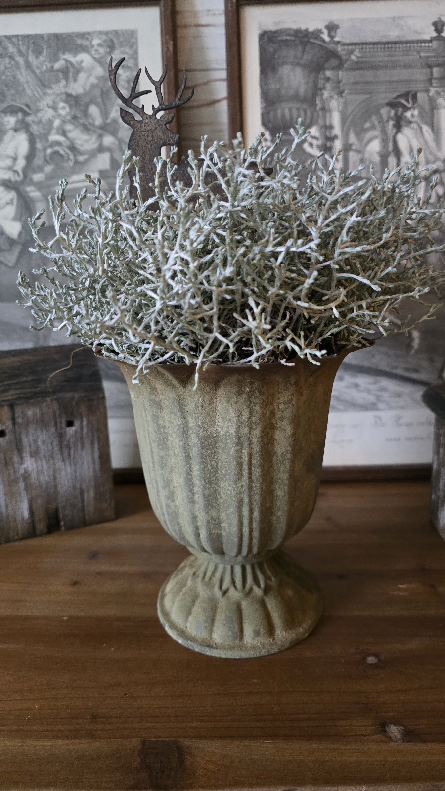 pokal topf übertopf metall metallschale im mrs greenery shop kaufen bestellen stacheldraht pflanze