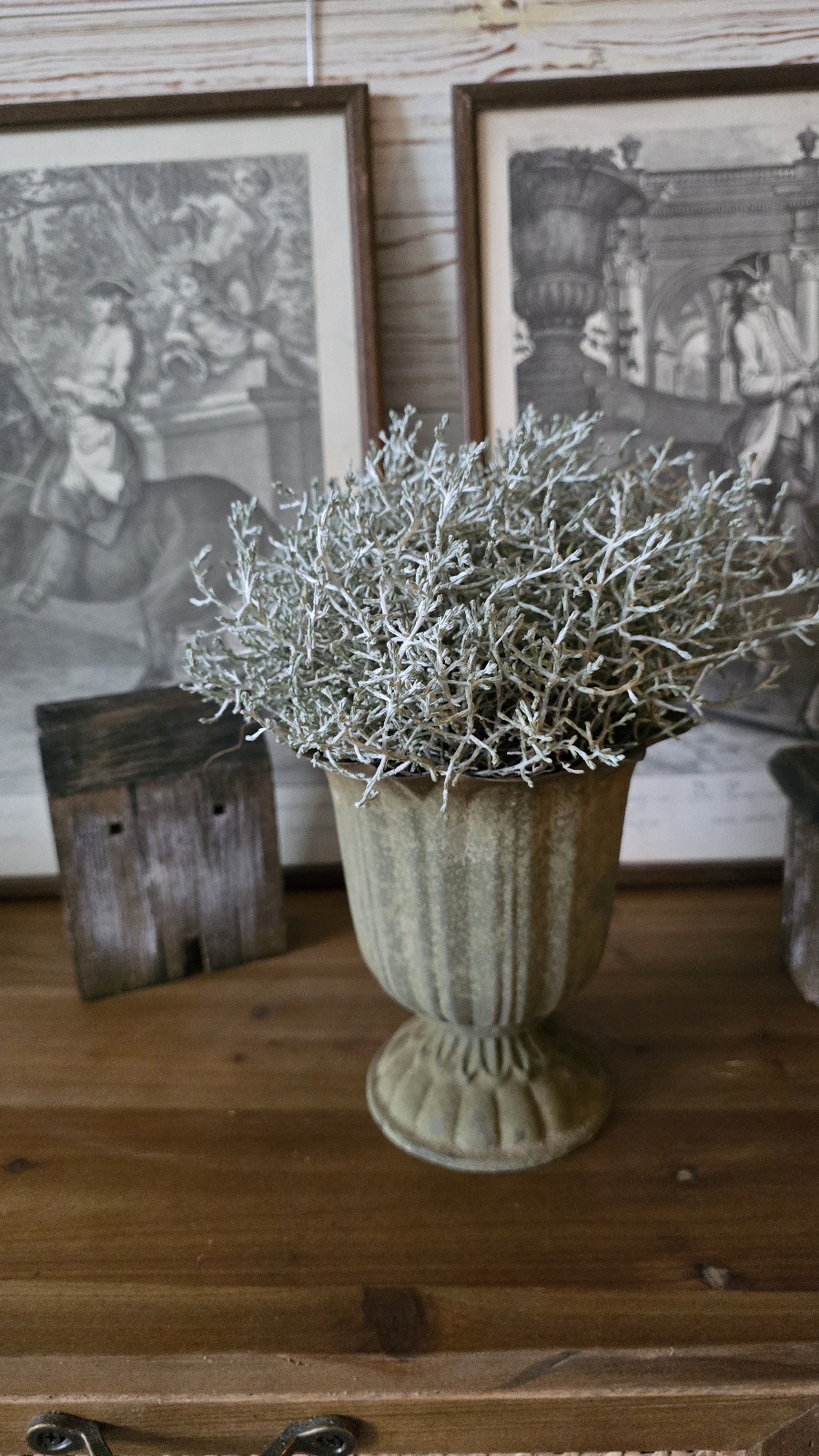 pokal topf übertopf metall metallschale im mrs greenery shop kaufen bestellen stacheldraht pflanze