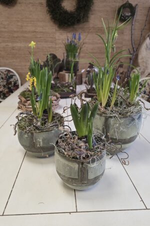 Übertopf Topf Metall mit Patina im Mrs Greenery Shop bestellen kaufen
