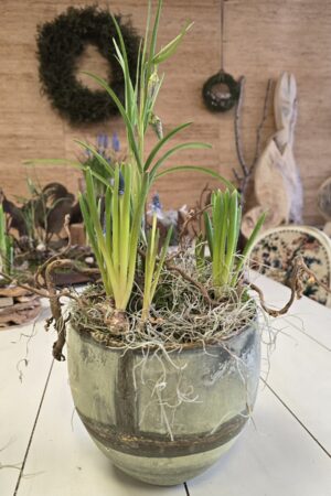 Übertopf Topf Metall mit Patina im Mrs Greenery Shop bestellen kaufen