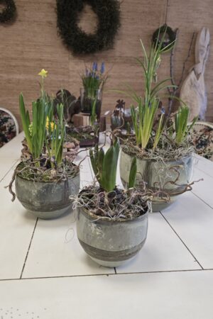 Übertopf Topf Metall mit Patina im Mrs Greenery Shop bestellen kaufen