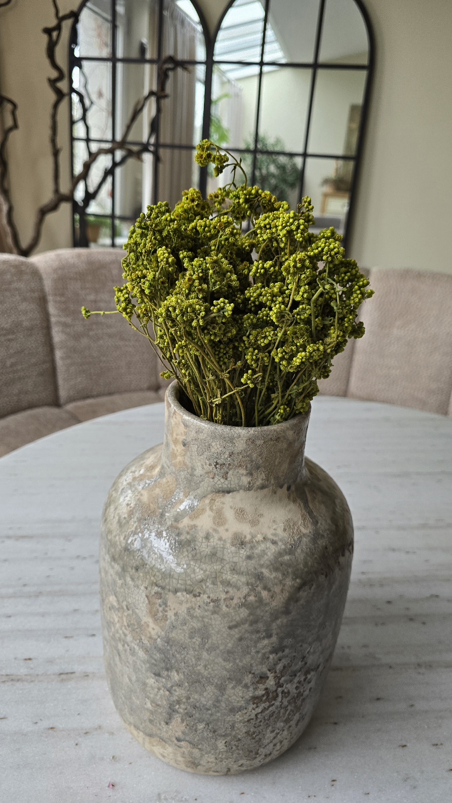 crispum basil grün getrocknet trockenblumen im mrs greenery Shop bestellen kaufen naturdeko
