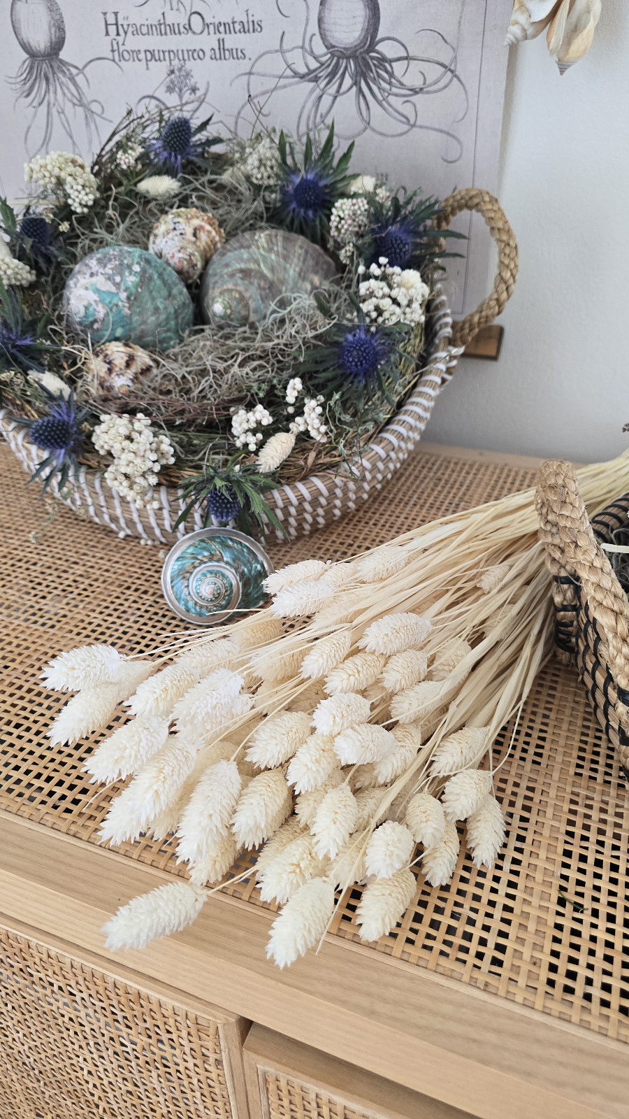 Lagurus Trockenblumen weiss im Mrs Greenery Shop kaufen bestellen