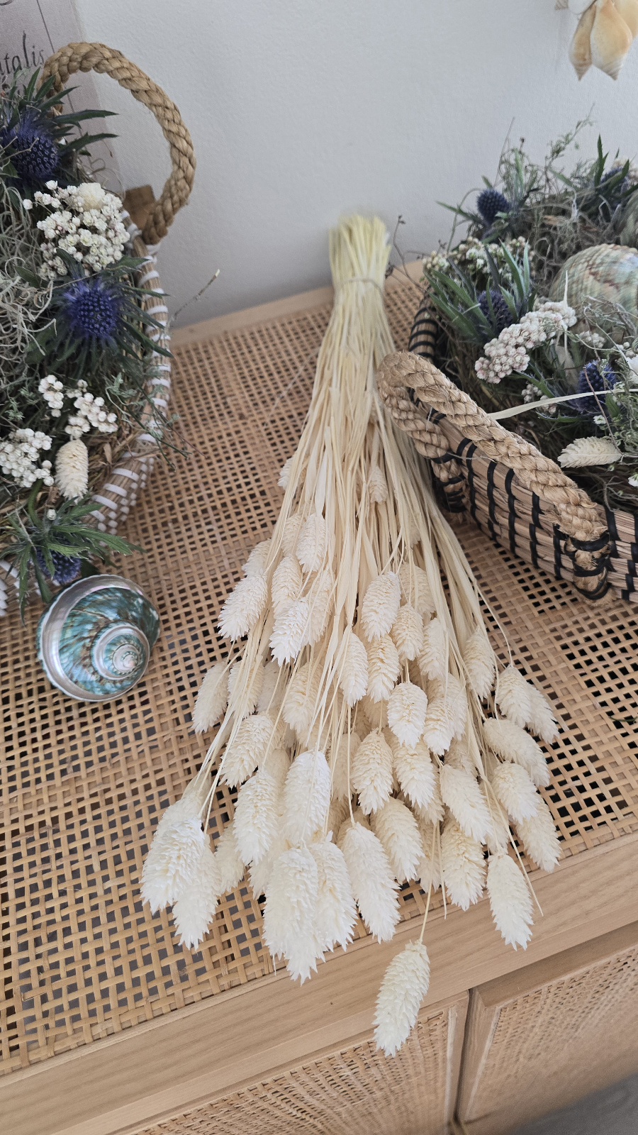 Lagurus Trockenblumen weiss im Mrs Greenery Shop kaufen bestellen