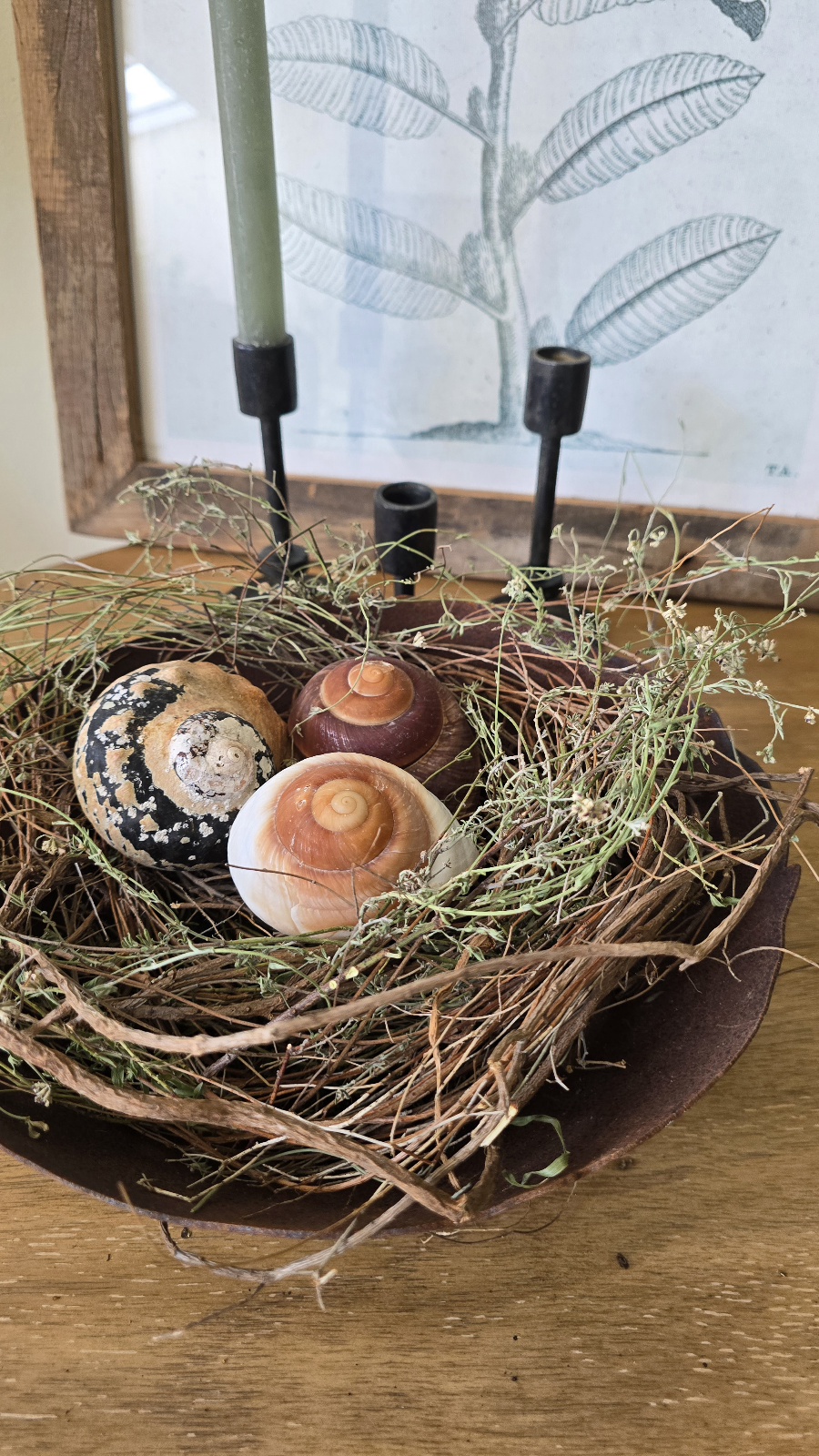 Rostschale rostige Schale Dekoidee Dekoschale Rost dekoration naturdeko im mrs greenery shop bestellen kaufen