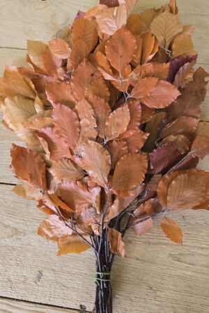 Buchenzweige konserviert Herbstlaub Blätter Laub Herbstdeko Sommerdeko im Mrs greenery shop bestellen kaufen